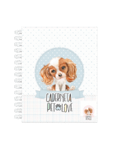 Cavalier Spaniel
